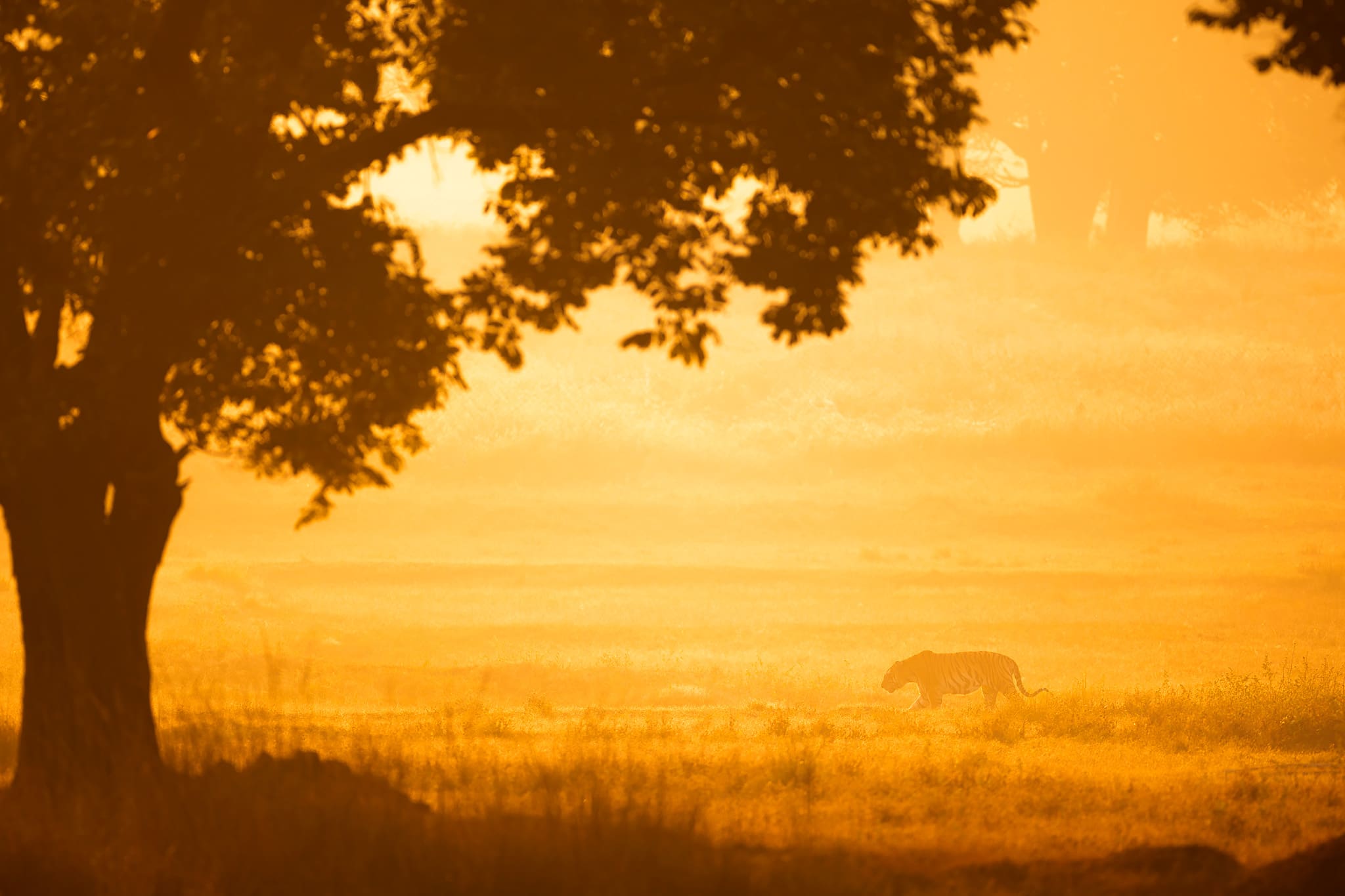 Winter Light Atelier 2025 image